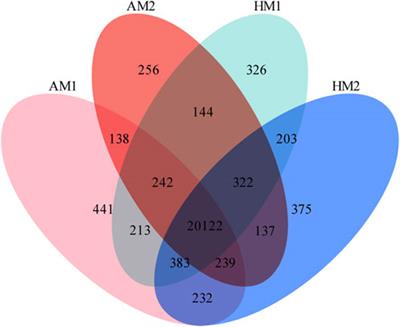 Transcriptome analysis revealed potential genes involved in thermogenesis in muscle tissue in cold-exposed lambs